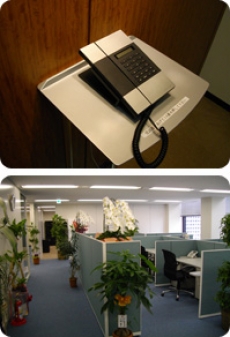 ビジネスフォン導入事例 株式会社 NOROOホールディングス