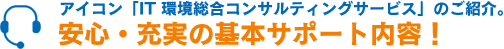 アイコン「IT 環境総合コンサルティングサービス」のご紹介。安心・充実の基本サポート内容！